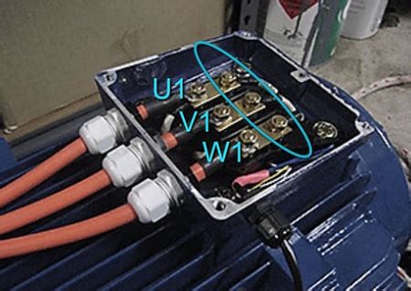 motor junction box peckerhead|peckerhead motor termination protection.